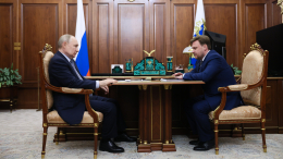 Глава «РусГидро» Хмарин рассказал Путину о деятельности компании