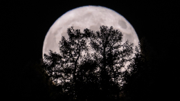 «Оленья Луна»: как уникальное астрологическое явление может повлиять на жизнь