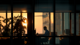 «Система перегружена»: как переработки меняют структуру мозга