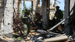 ВС РФ освободили населенный пункт Зеленая Долина в ДНР