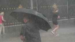 Контрасты июля: какую погоду прогнозируют в Москве