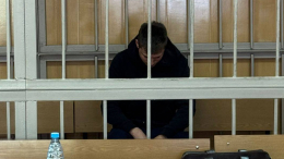 В Москве заключили под стражу сбившего пешеходов мужчину