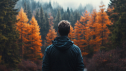 Не трогай! Какие ядовитые растения и ягоды встречаются в российских лесах