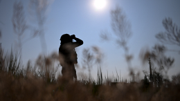 Появились подробности освобождения Малиновки в Запорожской области