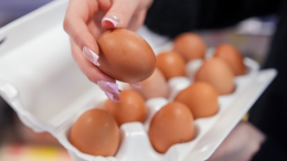 В Минсельхозе предложили зафиксировать цены на яйца