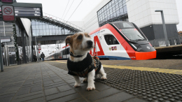 При покупке онлайн-билетов на поезд можно будет создать профиль питомца