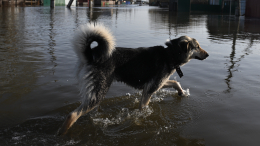 Село Оймякон в Якутии уходит под воду
