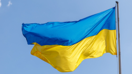 Изменения в украинском правительстве стали причиной потасовки в Раде