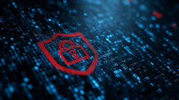 «Столото» и F6 заблокировали почти 5000 мошеннических сайтов за полгода