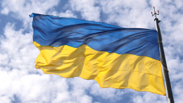 Политолог высказался о продвижении сенатором Грэмом* интересов Украины