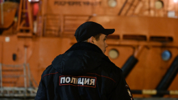 Фрукты с сюрпризом: почти тонну наркотиков внутри бананов пытались ввезти в РФ