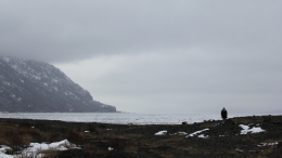 У берегов Аляски произошло землетрясение магнитудой 7,2, объявлена угроза цунами