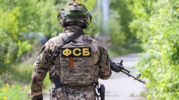 Готовивший взрыв на энергообъекте диверсант задержан в Воронежской области