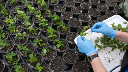 Путин назвал глупостью запрет на российские удобрения в Европе