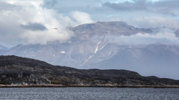Россия готова к ответу на возможный конфликт вокруг статуса Гренландии