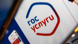 Путин поручил создать на «Госуслугах» раздел «Россия — страна возможностей»