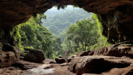 «Я не приводила их умирать»: почему россиянка с двумя детьми ушла жить в пещеру в Индии