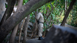 Лаял на спасателей: в Таиланде нашли ребенка-маугли