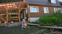 Враг урожая: как спасти огород в жару