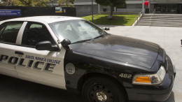 Более 20 человек пострадали при наезде автомобиля на толпу в Лос-Анджелесе