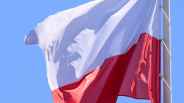 Польша начала массовую депортацию граждан Грузии из-за криминальной активности