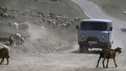 В Дагестане перевернулся автобус с детьми