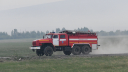 В Омской области при столкновении фур погибли два человека