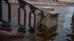 Купание двух мужчин в Крюковом канале в Петербурге обернулось трагедией