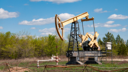 Путин: РФ грозит потеря суверенитета при зависимости от нефти и газа