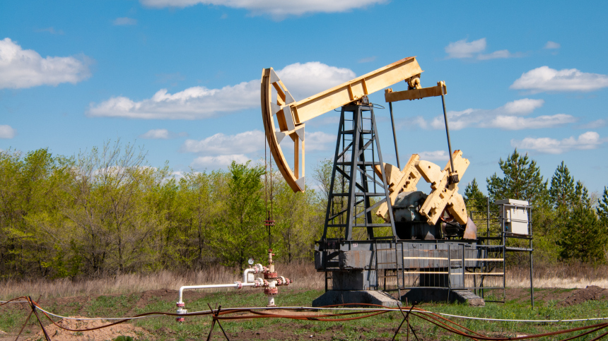 Путин заявил, что РФ грозит потеря суверенитета при покупке всего за нефть и газ