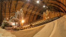 WР: США зависимы от удобрений РФ из-за новых пошлин Трампа