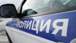 В Хабаровске у местной жительницы нашли 365 кустов конопли