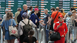 Минтранс: 517 рейсов отменили в аэропортах Москвы и Санкт-Петербурга