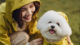 Против ветра: как правильно гулять с собаками при осадках