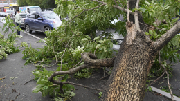 На Хабаровск обрушился мощный ураган