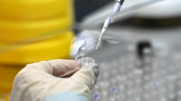 В России зафиксировано более ста случаев заражения новым штаммом «Стратус»