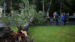 Размытые дороги и затопленные улицы: в Татарстане бушует шторм