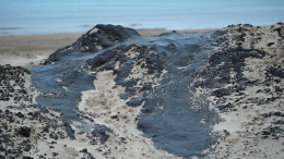 В Краснодарском крае обнаружили новые выбросы мазута