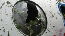 «Вчера у него был выходной»: мать второго пилота Ан-24 о разговоре с ним накануне крушения