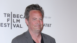 «Был особенно уязвим»: врач Мэттью Перри признал вину в смерти актера