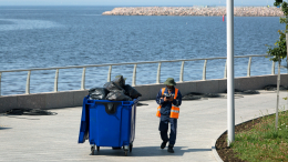 Чистый город: работу дворников в Петербурге будут контролировать в приложении