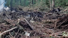 Тела погибших при крушении Ан-24 извлекли из-под обломков