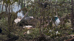 Бортовые самописцы потерпевшего крушение в Приамурье Ан-24 доставлены в Москву