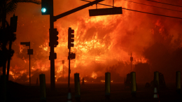 Трамп заявил о пропаже 100 миллионов долларов для помощи пострадавшим от пожаров в Калифорнии