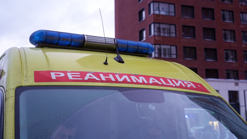 фвп дрон убил жителя курской области