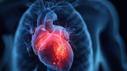 Инфаркт и инсульт — не приговор. Как снизить риски?