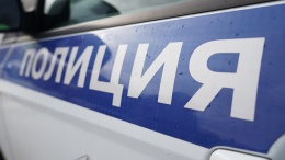 Эвакуатор насмерть сбил четырехлетнего ребенка на трассе в Новгородской области