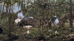 Следователи изъяли двигатели разбившегося Ан-24 в Амурской области