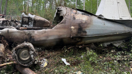 На месте крушения Ан-24 продолжают находить личные вещи пассажиров