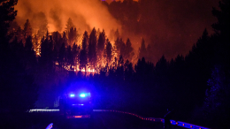 Огненная полоса в 10 километров едва не сожгла дачные поселки на Ставрополье
